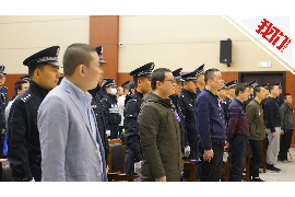 新平融资清欠服务