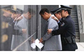 新平讨债公司成功追讨回批发货款50万成功案例